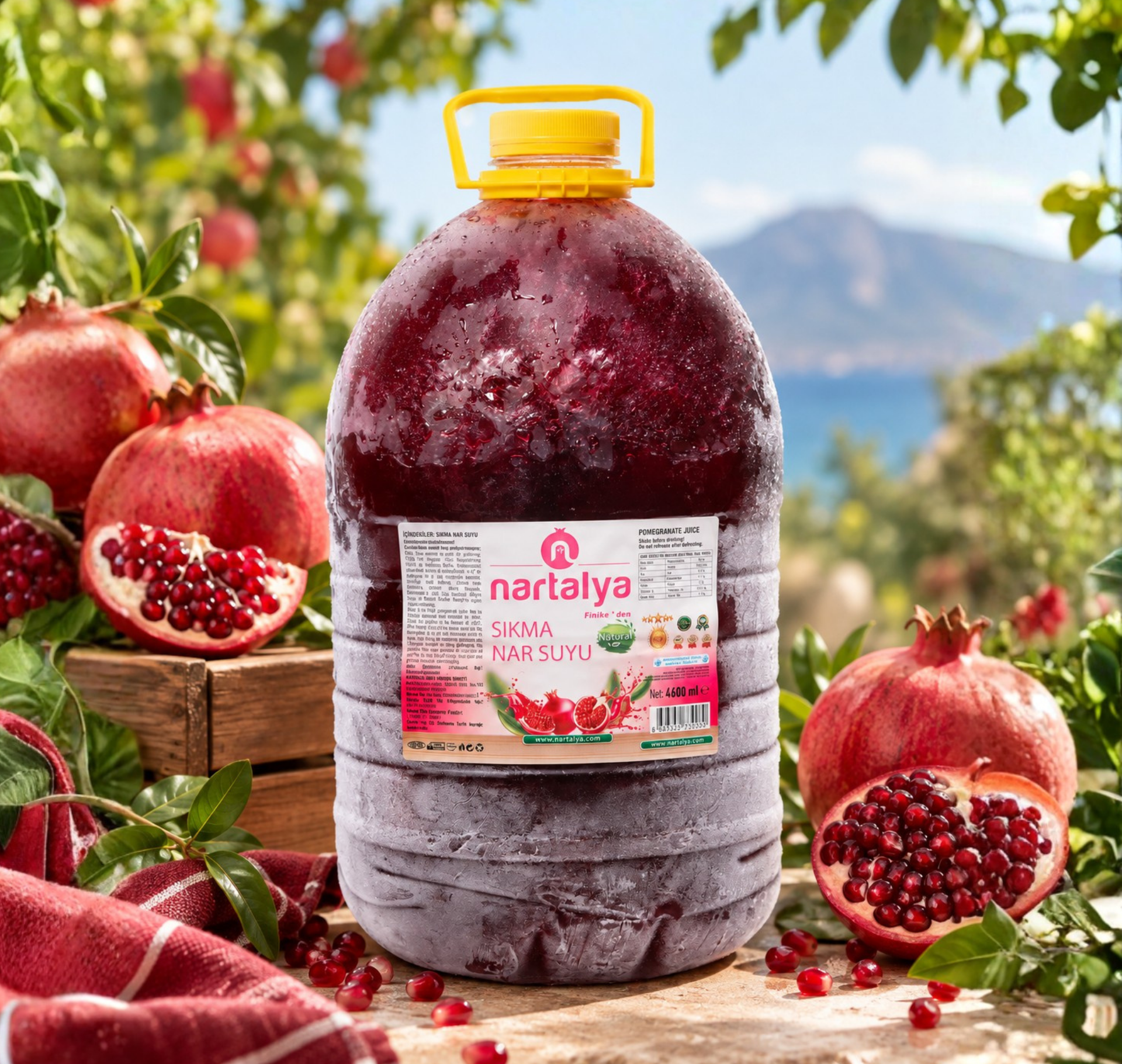 Nartalya Dondurulmuş Nar Suyu 1900 ml