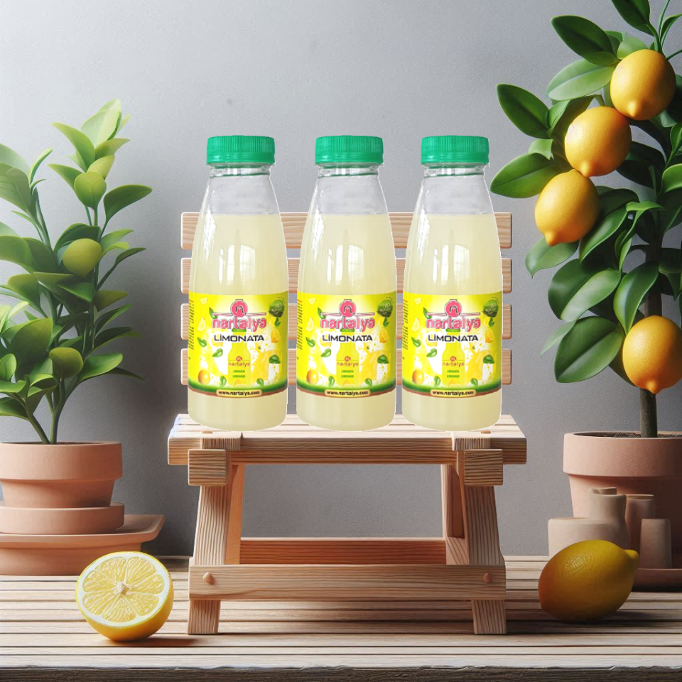 Nartalya Dondurulmuş Şekersiz Limonata 330 ml