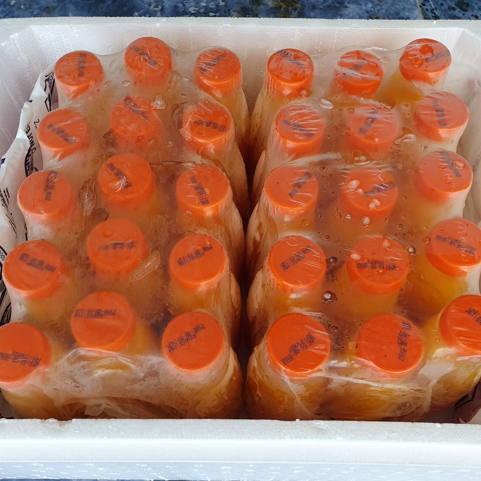 30 Adetx330 ml.Dondurulmuş Portakal Suyu