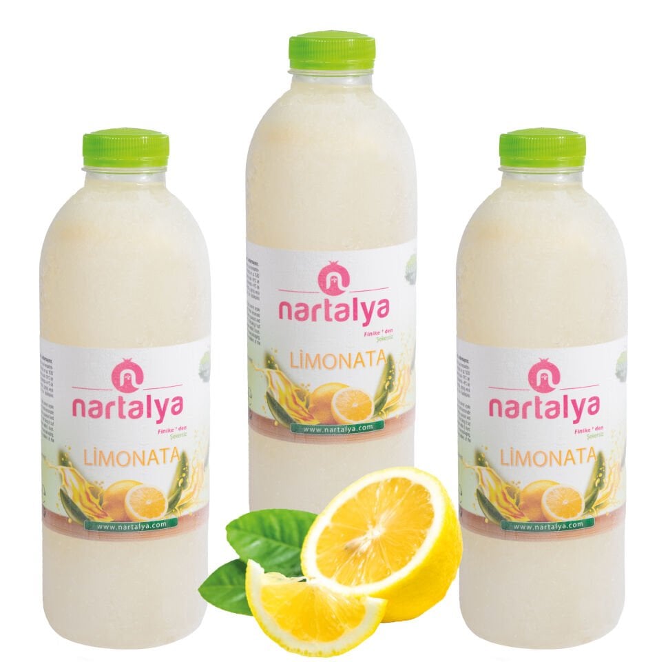 Dondurulmuş Doğal Limonata 3 Adet 900 ml.