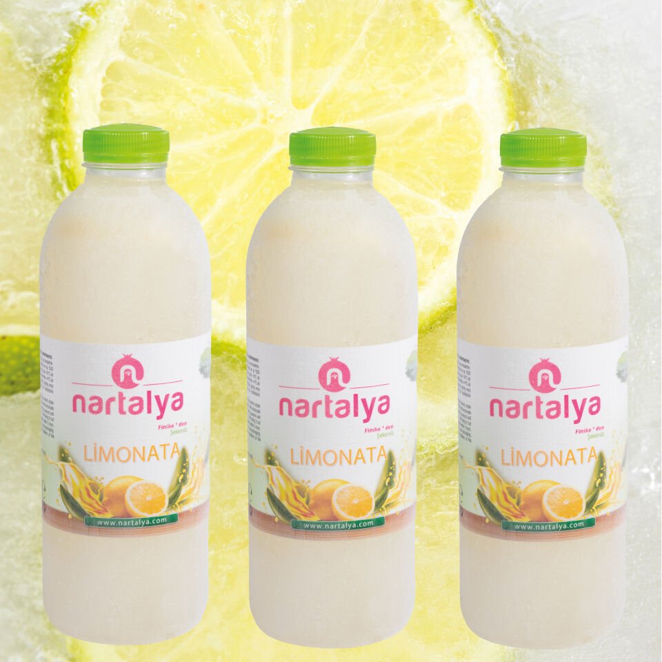 Dondurulmuş Doğal Limonata 3 Adet 900 ml.