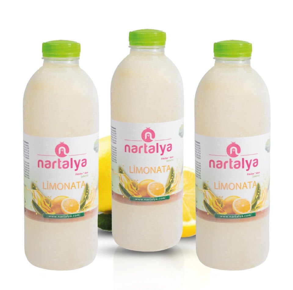 Dondurulmuş Doğal Limonata 3 Adet 900 ml.