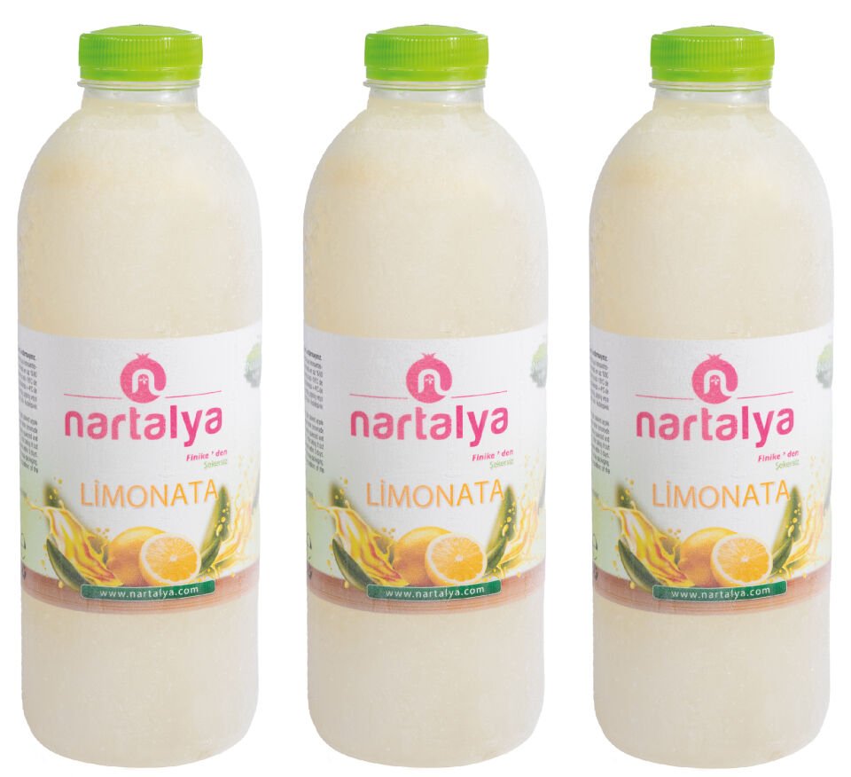 Dondurulmuş Doğal Limonata 3 Adet 900 ml.