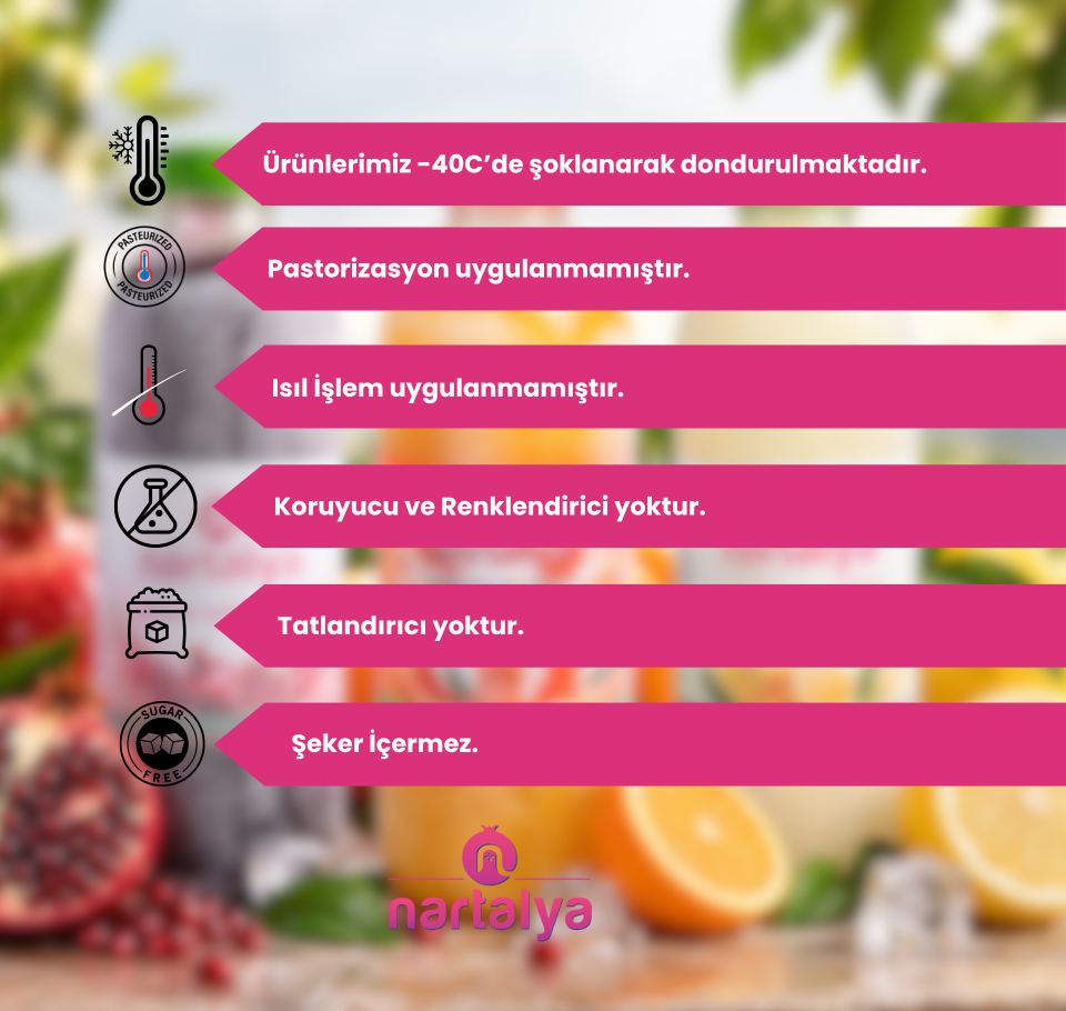 Nartalya Dondurulmuş Sıkma Nar Suyu (5 x 950 ml)