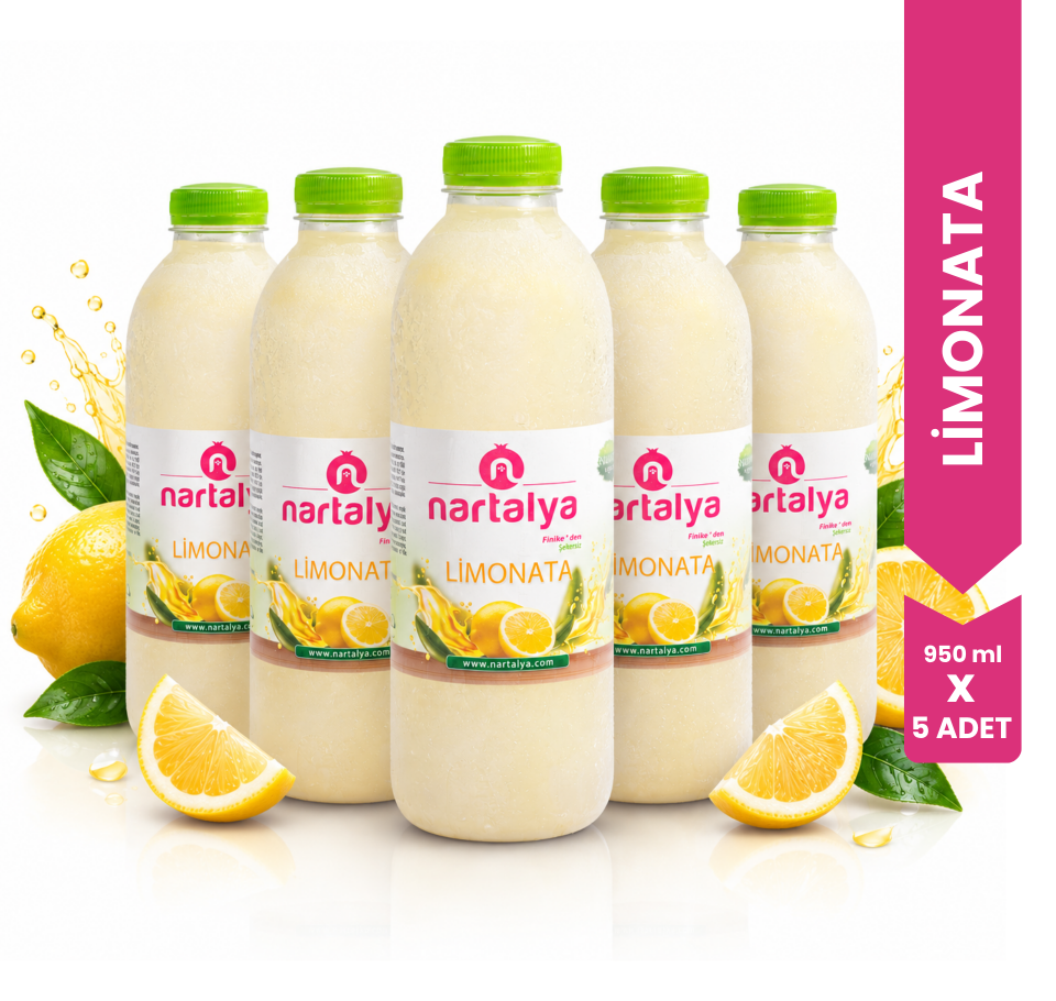 Nartalya Dondurulmuş %100 Doğal Limonata (5 x 900 ml)