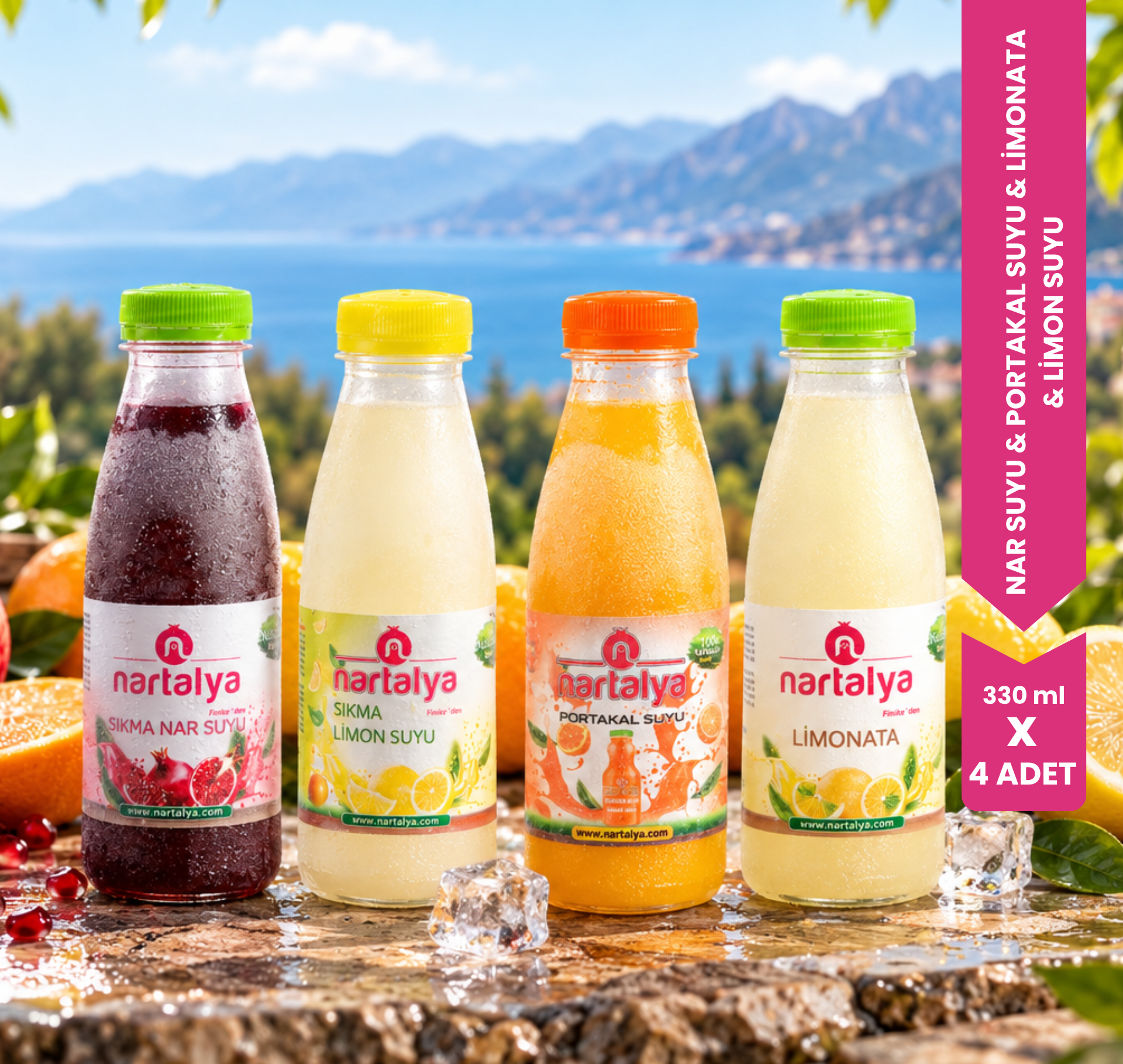 Nartalya 4'lü Karışık Deneme Paketi Dondurulmuş Sıkma Meyve Suyu (4 x 330 ml)