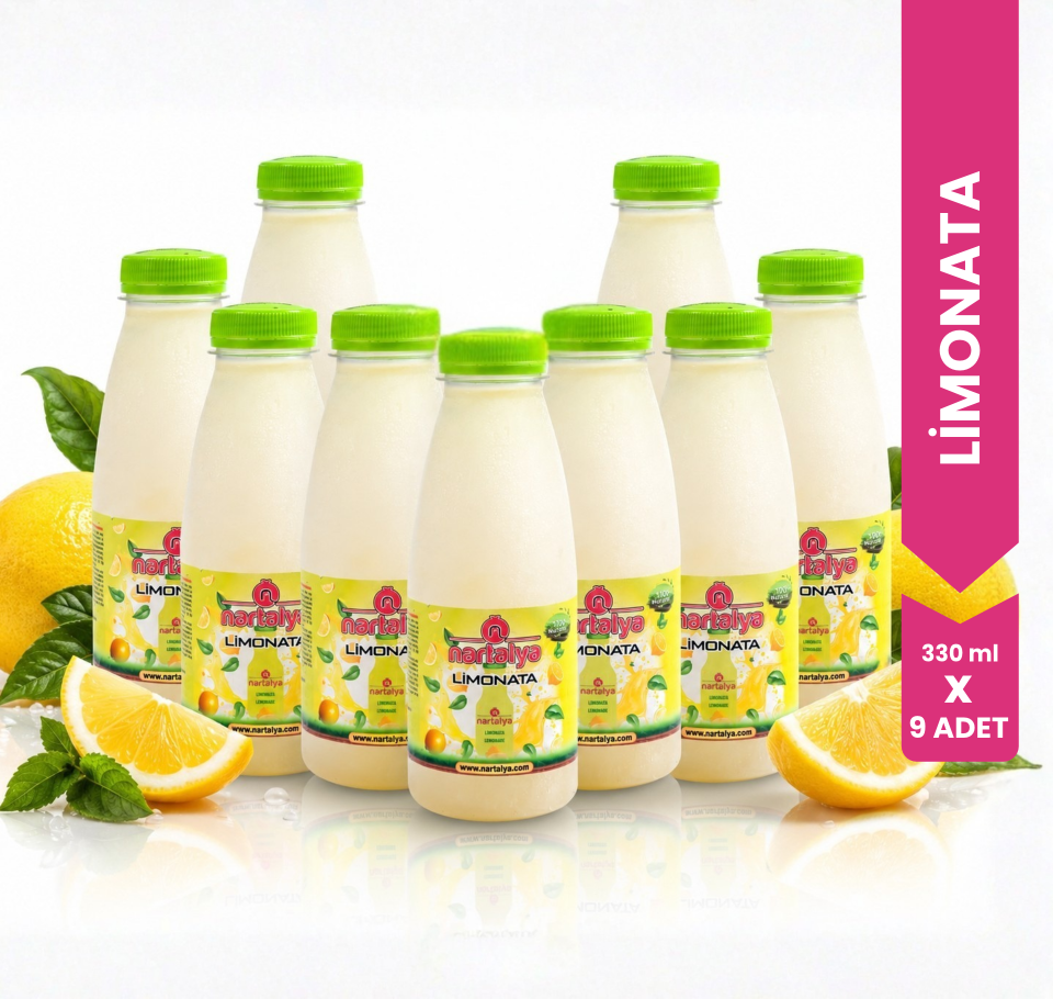 Nartalya %100 Doğal Dondurulmuş Limonata (9 x 330 ml)