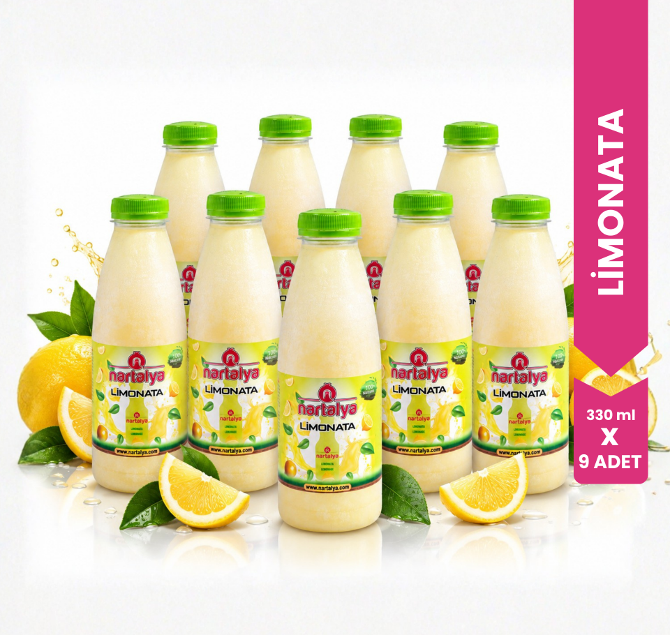 Nartalya %100 Doğal Dondurulmuş Limonata (9 x 330 ml)